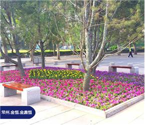 太原園藝小品