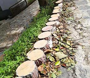 哈爾濱仿樹(shù)皮木樁